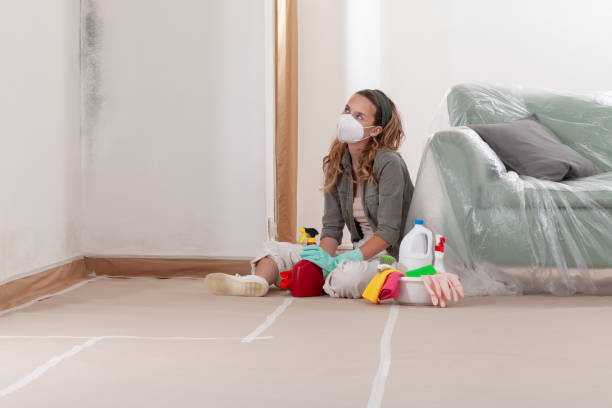 Reliable Mold Remediation contractor in North Brunswick, NJ by Mold Remediation HQ